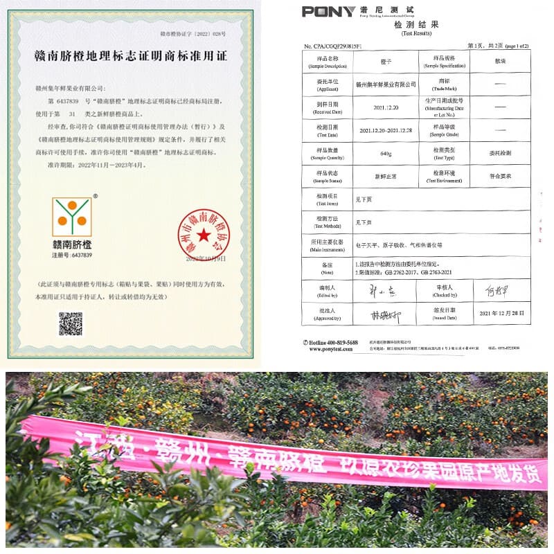 玖原农珍 赣南脐橙现摘优选橙子 手剥榨汁礼盒水果新鲜维C橙 含箱3斤净果2.5斤中小果110-160g